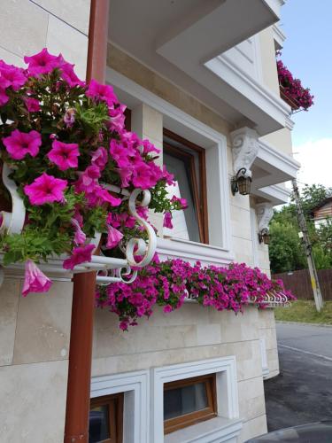 a window with a bunch of flowers in front of it at Pensiunea Geostar in Curtea de Argeş
