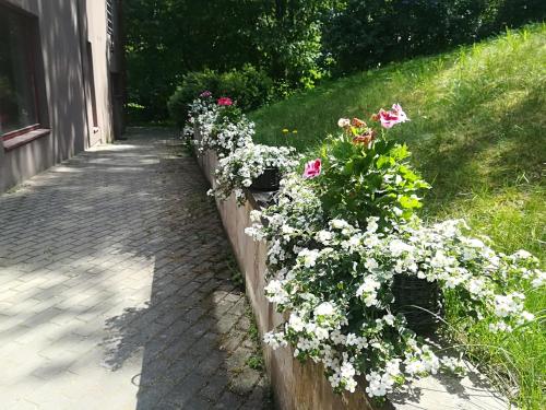 Jardín al aire libre en Apartments Melnalkšņi