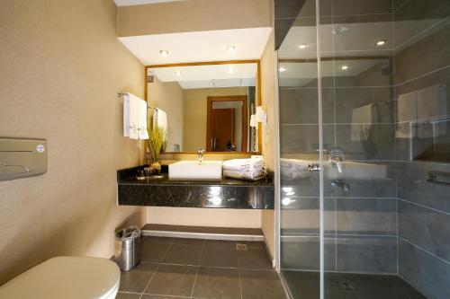 a bathroom with a toilet and a sink and a shower at Hotel Anatolia in Bursa