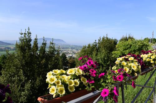 a bunch of flowers sitting on a bench at Hotel Loreto in Loreto