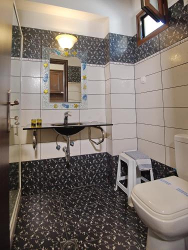 un bagno con lavandino e WC di Marilena Apartments a Patitiri