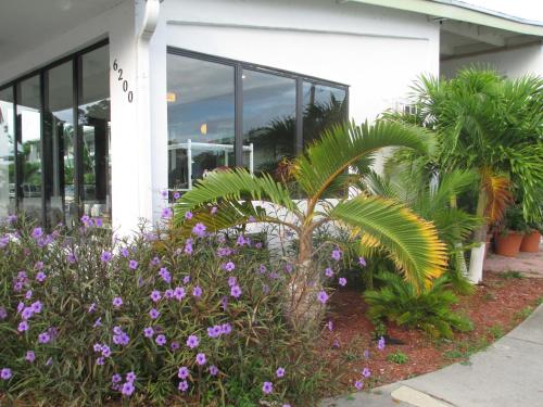 Shalimar Motel – Photos 3