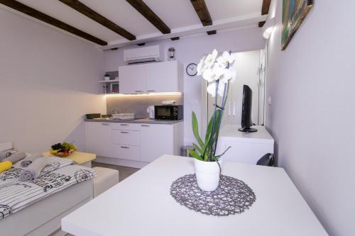 Kuchyň nebo kuchyňský kout v ubytování Apartments Bella Tara