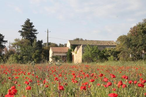 un campo de amapolas rojas delante de una casa en Le Mas De La Seuve, en Richerenches