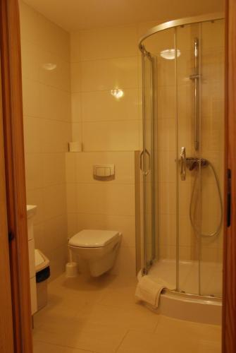 a bathroom with a toilet and a shower at Dom Wypoczynkowy Halina in Biały Dunajec