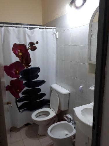 y baño con aseo y cortina de ducha. en Casa Temporaria en San Rafael