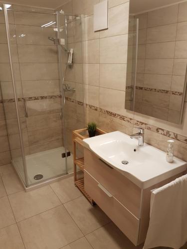 a bathroom with a sink and a shower at Apartment Eden Bled in Bled