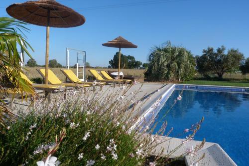 a swimming pool with umbrellas and lounge chairs next to a pool at Quinta dos doze Sobreiros - Quarto Sol in Ferreira do Alentejo