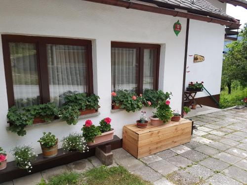a house with potted plants on the side of it at Apartment Eden Bled in Bled