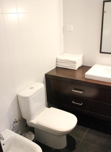 a bathroom with a white toilet and a sink at Casa do Lavadouro in Paços de Gaiolo