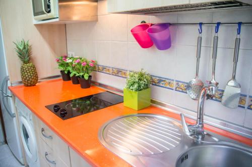 una cocina con fregadero y una barra con plantas en 4Seasons La Rosaleda Apartment en Málaga