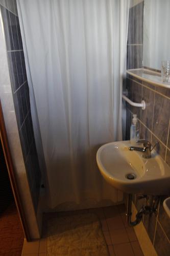 a bathroom with a sink and a shower curtain at Kisherceg Szálláshely in Budapest