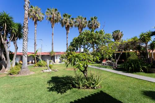 a yard with palm trees and a building at Finca La Gaviota - El Rincon in Icod de los Vinos