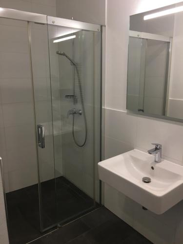 a bathroom with a glass shower and a sink at Ferienwohnungen & Monteurunterkunft "Mainbogen-Blick" in Untereuerheim