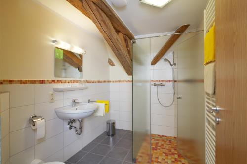 y baño con lavabo y ducha. en Gasthof Goldenes Rössle en Dinkelsbühl