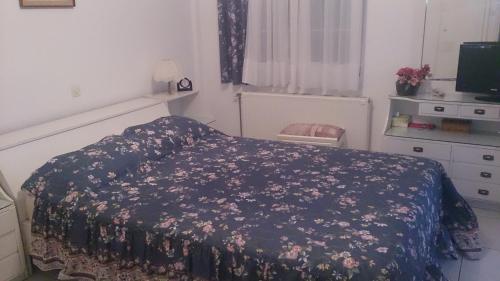 Gallery image of ELENI'S VILLAGE RELAXATION HOME in Edipsos