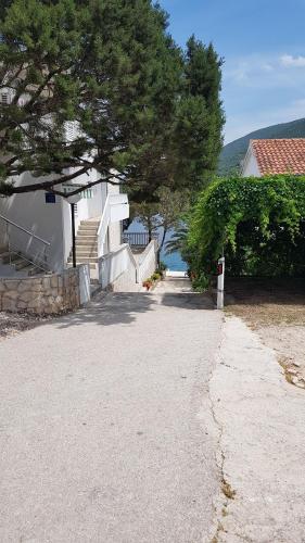 House Fani – Photos 2