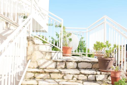 a set of stairs with potted plants in front of a building at Villa Guci in Ulcinj
