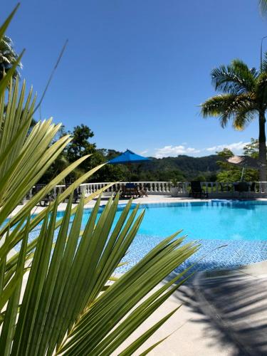 a large swimming pool with a palm tree in the foreground at La Manola Finca Hotel in Doradal