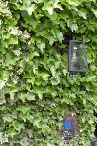 a wall covered in green ivy with a light on it at Ascot House in Harrogate