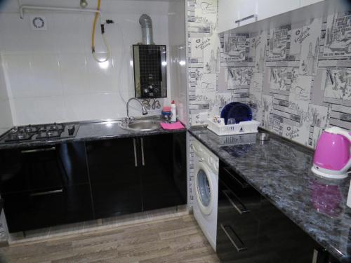 a kitchen with a sink and a washing machine at Apartment Tamara On Khandzteli Street in Tbilisi City