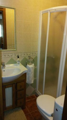 a bathroom with a shower and a sink and a toilet at Casa Encina - Encinasola Turismo Rural. in Alora
