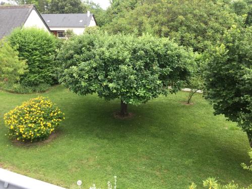 an apple tree in the middle of a yard at Le Hameau du moulin a vent in Saint-Avertin