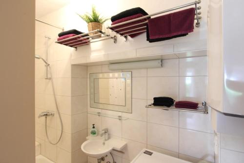 a bathroom with a shower and a sink and a toilet at Haus Anneliese in Bad Reichenhall