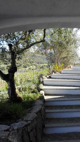 Κήπος έξω από το Agriturismo B&B Domo De Resteblas