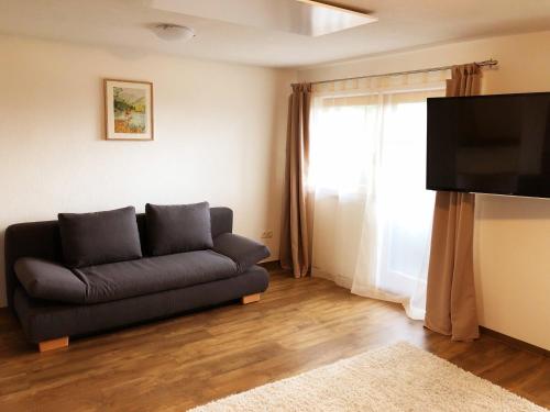 a living room with a couch and a television at Pension Aschlandhof in Obsteig