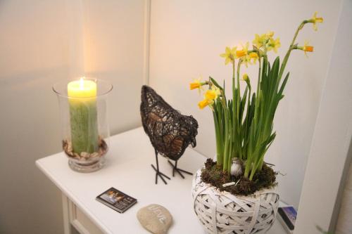 Fotografie z fotogalerie ubytování B&B Lievejan v destinaci Jabbeke