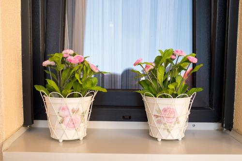 two vases with pink flowers sitting on a window sill at Central Park Lux in Arandjelovac