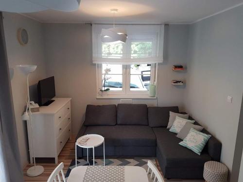 Televízia a/alebo spoločenská miestnosť v ubytovaní Apartament Grześ