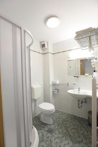 a bathroom with a toilet and a sink at Penzion Kmečki Hram in Ljubljana