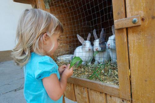 a little girl looking at two rabbits in a cage at Kinderbauernhof Salmanner in Steinbach an der Steyr