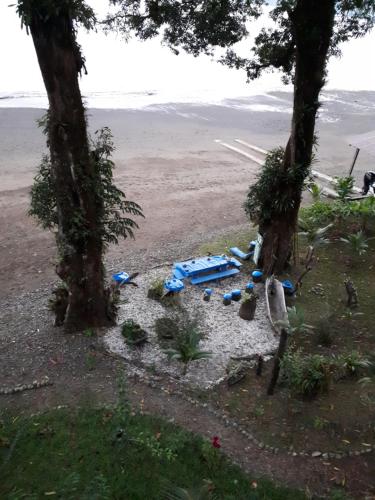 a view of a beach with two trees at Ecolodge el Arca Bahia Solano in Bahía Solano