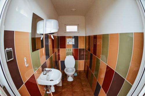a bathroom with a toilet and a sink at Sunny Nights Homestead Rustic House in Gataučiai