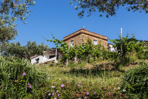 una casa vieja en la cima de una colina en Impietra, en Agropoli