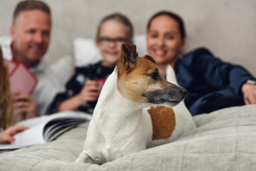 a dog laying on a bed with three people at Statt Hassleholm BW Signature Collection in Hässleholm