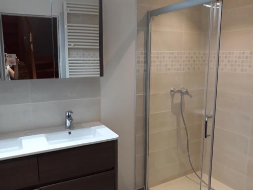 ein Bad mit einer Dusche, einem Waschbecken und einem Spiegel in der Unterkunft Gite d'Emilie - Cahors Centre Ville avec Garage - 3 étoiles in Cahors
