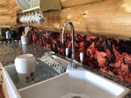 a kitchen counter with a sink in a kitchen at Coed y Marchog Woodland Retreat in Hereford