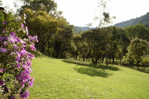 a field of green grass with trees and purple flowers at Chalé dois irmãos in Visconde De Maua