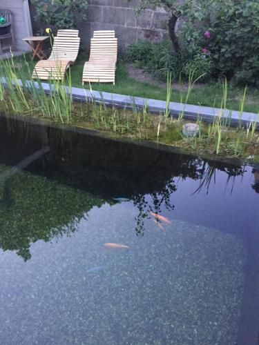 two chairs sitting next to a pond with kites in it at Hasselt City Garden Duplex in Hasselt