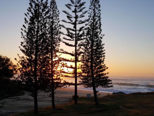 two trees on the beach with the sunset in the background at Nautilus Beachfront Villas & Spa in Coffs Harbour