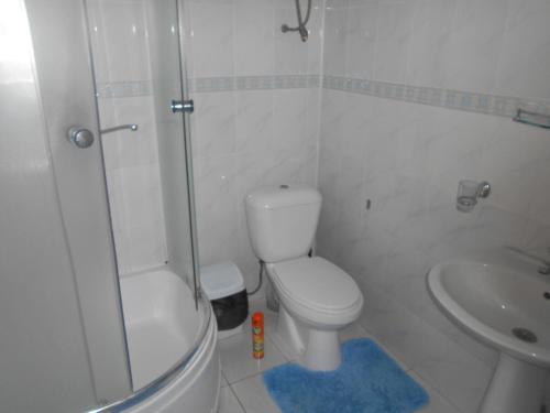 a bathroom with a toilet and a shower and a sink at Boomerang Guest house in Cholpon-Ata