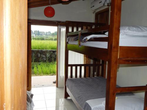 a room with three bunk beds and a window at Alamanda Family Villas, Pool & Local Tours in Yogyakarta