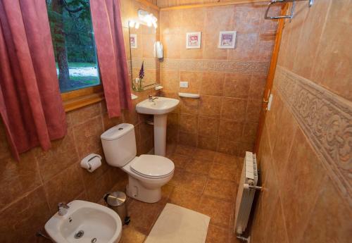 聖馬丁德洛斯安第斯的住宿－Cabañas Pista Uno Ski Village，一间带卫生间和水槽的小浴室