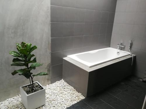M.I.N.D. Villa في شيانغ ماي: حوض استحمام في الحمام مع نبات الفخار