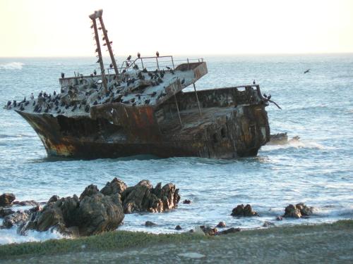an old boat in the ocean with birds on it at House of 2 Oceans in Agulhas
