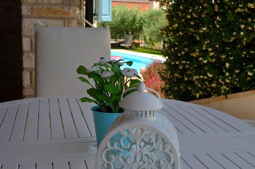 Gallery image of Holiday home Sverko in Novigrad Istria